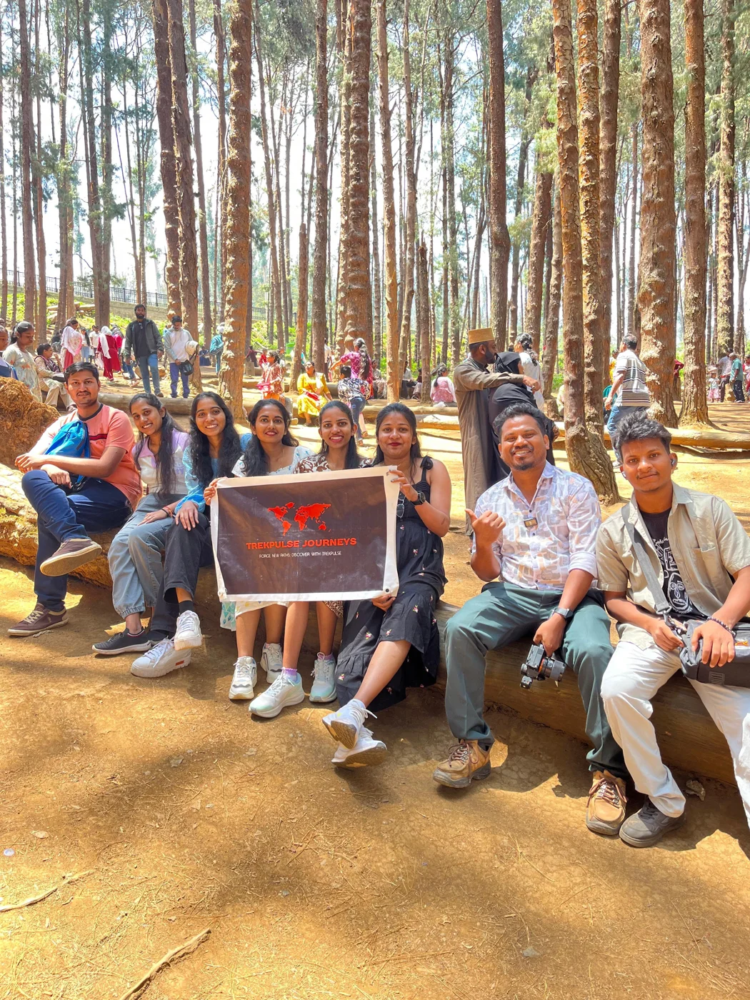 TrekPulse travellers — Out of office. Into the woods.